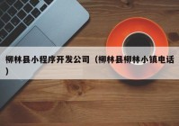 柳林县小程序开发公司（柳林县柳林小镇电话）