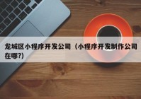 龙城区小程序开发公司（小程序开发制作公司在哪?）